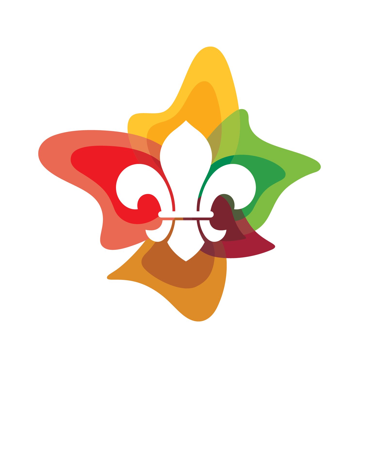 Ashmore Scout Group