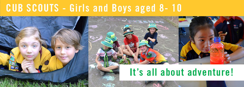 Ashmore Cub Scouts