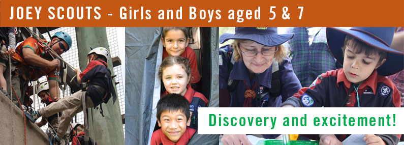 Ashmore Joey Scouts